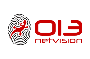 013 netvision